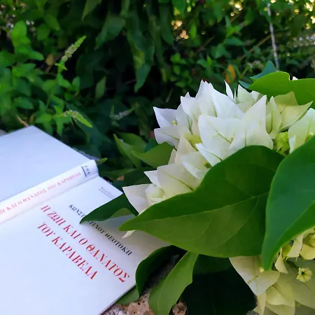 Locrihouse-stylish Comfortable In Prázdninový dům Galaxídhion