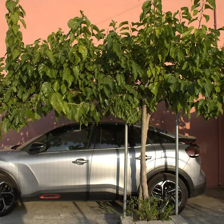 Locrihouse-stylish Comfortable In