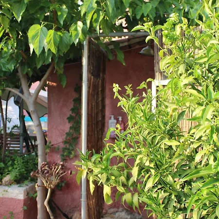 Locrihouse-stylish Comfortable In *