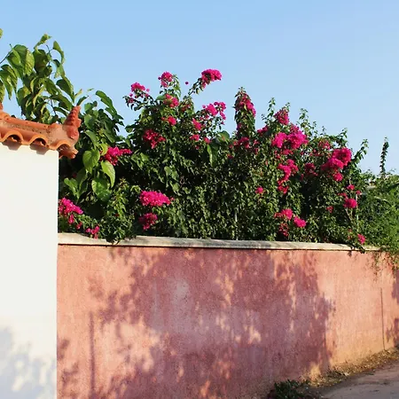 Locrihouse-stylish Comfortable In Holiday home