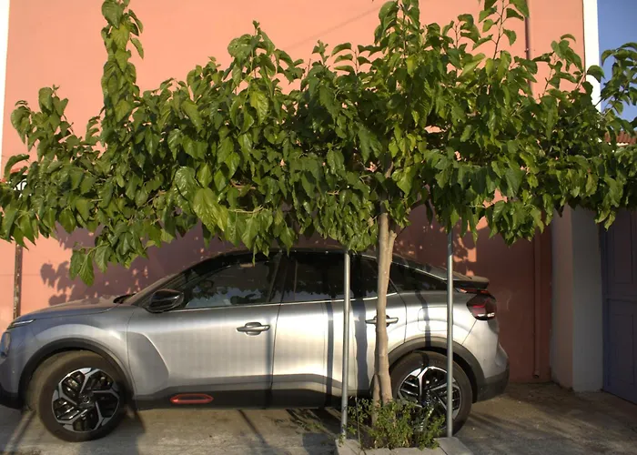 Locrihouse-stylish Comfortable In