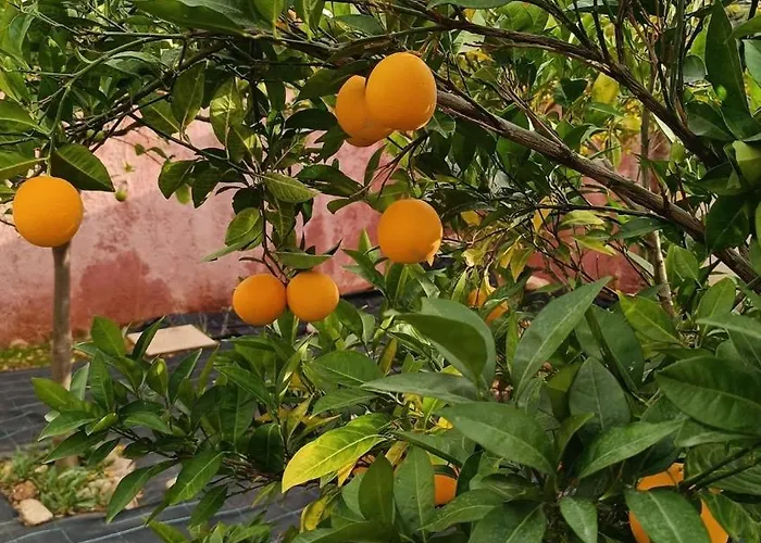 Hébergement de vacances Locrihouse-stylish Comfortable In